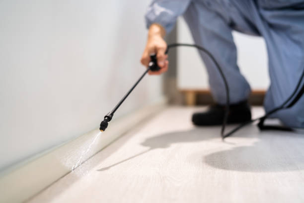 Licensed Fumigation Services service in Bensville, MD - Nex Pest Control