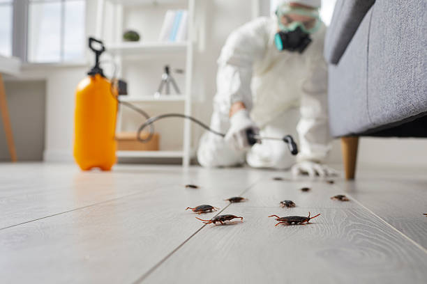 Trusted Termite Control service in Bensville, MD - Nex Pest Control